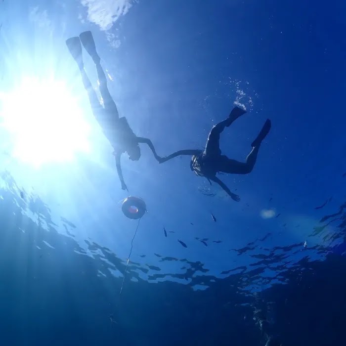 海で泳ぐ
