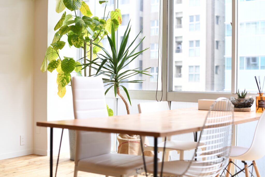 自然光の差し込むおしゃれな無人の部屋