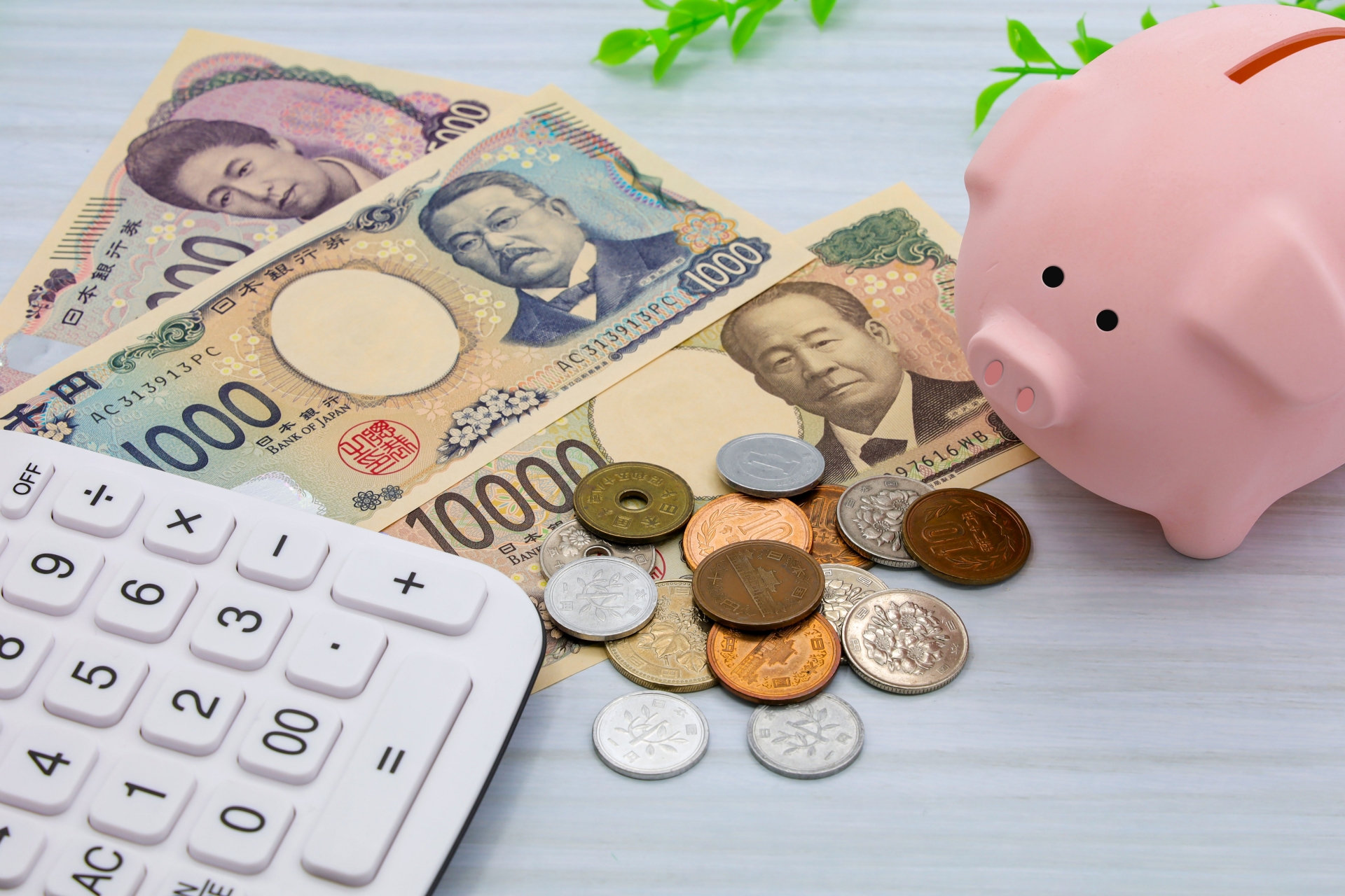 リゾートバイトで貯金を増やせる？稼げる職種や貯金を増やすためのコツを解説
